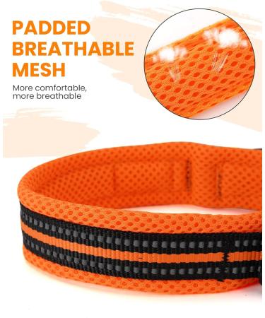 PETTOM Adjustable Nylon Dog Collar Breathable Reflective Design for Comfort & Safety | Size M (Orange) - Ideal for International Shipping - Buy Online on GoSupps.com