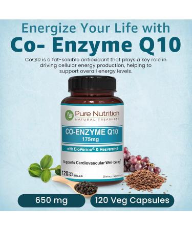 Pure Nutrition Bio Coenzyme Q10-175mg | 120 Veg Caps | CoQ10 with Bioperine & Arjuna Extract | Nutrient-Rich Botanicals for Daily Wellness | Non-GMO 120 Count (Pack of 1) - Buy Online on GoSupps.com