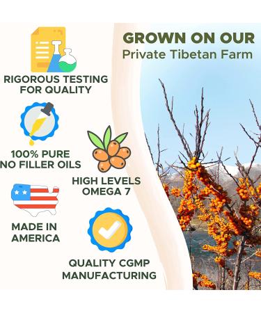 Organic Sea Buckthorn Oil Softgels - SeabuckWonders Omega-7 Complete - 30 Count (500mg) - Buy Online on GoSupps.com