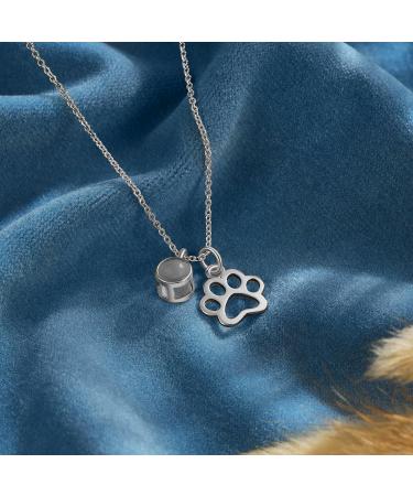 lorajewel Photo Necklaces Personalised Necklaces For Women Projection Necklace Pet Dog or Cat Paw Print Pendant Memorial Necklaces Christmas Birthday Gift For Girl Lover Silver - Buy Online on GoSupps.com