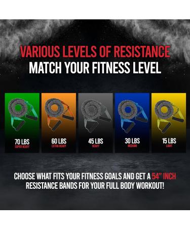 Ron Williams Resistance Bands with Handles | Portable Full Body Workout - 54 Long 15 lbs for Men & Women | Exercise Training Tool - Buy Online on GoSupps.com