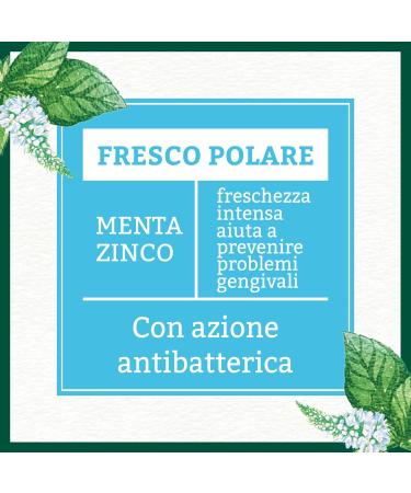 Henkel Beauty Care Antica Erboristeria toothpaste 1 x 75 ml Polar Freshness - Buy Online on GoSupps.com