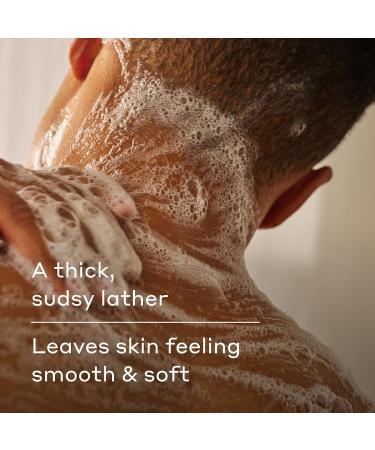 Harry's Men's Body Wash - Stone - (3 Pack) 18 fl oz - Shower Gel for Men - No Parabens, Sulfates, or Dyes Stone 18 Fl Oz (Pack of 3) - Buy Online on GoSupps.com