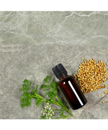 Braunglas 30ml Empty Glass Bottles Set - 15pcs Drop Insert with Black Plastic Lids - Ideal for Essential Oils Perfume and Fragrance - Buy Online on GoSupps.com