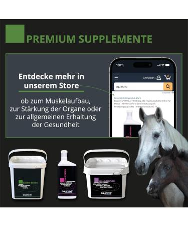 Equinova Gastro Renon 3 kg. - Buy Online on GoSupps.com