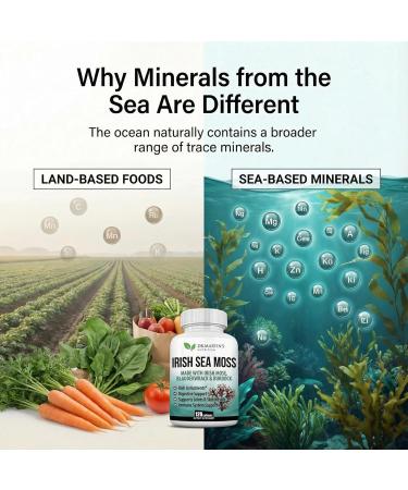 2625mg Irish Sea Moss Supplement 120 Capsules | SeaMoss Bladderwrack Burdock Root Capsules | Contain 92 Vitamins & Minerals For Immunity Gut Joint & Skin Health | Support Thyroid Energy & Digestion - Buy Online on GoSupps.com