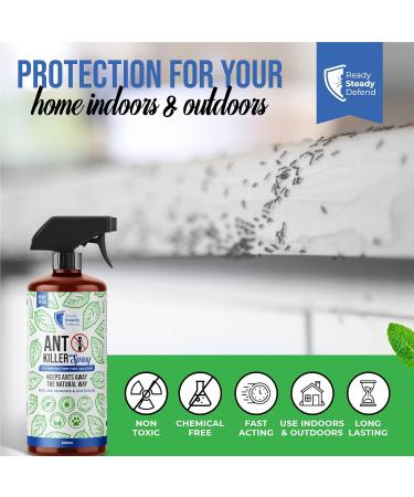 READY STEADY DEFEND Ant Repellent Spray Natural Ant Killer Long-Lasting Formula ersatile for Indoor & Outdoor Use Effective Ant Control Solution - 6.76 Oz - Buy Online on GoSupps.com