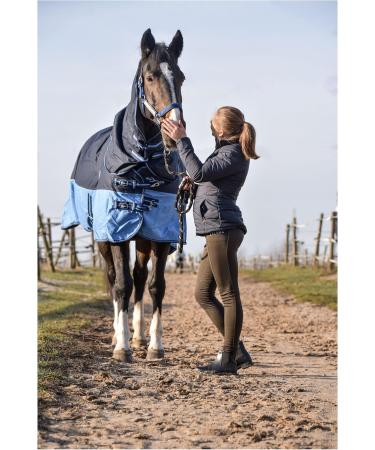 RL24 Weiddecke Full Neck 600D Nylon Waterproof Horse Winter Blanket - Blue/Baby Blue 155 cm (300g/m ) | Durable & Warm Outdoor Sheeting - Buy Online on GoSupps.com