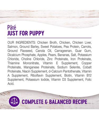 Wellness Complete Health Natural Puppy Food - Chicken & Salmon 12.5oz Can (Pack of 12) - Buy Online on GoSupps.com