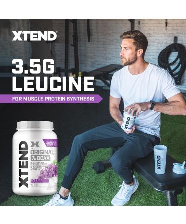 Scivation XTEND Original BCAA Powder - Sugar-Free Muscle Recovery with 7g BCAA 2.5g L-Glutamine - Glacial Grape 90 Servings Glacial Grape 90 Servings (Pack of 1) - Buy Online on GoSupps.com