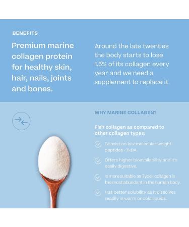 Marine Collagen with Vitamin C | Hydrolyzed Peptides | Essential Amino Acids for Skin Nails Hair Tendons and Ligaments | Collagen Powder | Neutral Flavor 305g | 60 Doses - Buy Online on GoSupps.com