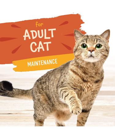 Earthborn Holistic Autumn Tide Tuna & Pumpkin Grain-Free Cat Food Pouches - Case of 24 - Buy Online on GoSupps.com