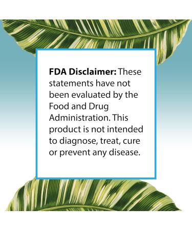 Kids Magnesium Calm Gummies for Sleep, for Bedtime, 60 Count Supplements Made in The USA Kids Gummies 100mg 1 Count (Pack of 60) - Buy Online on GoSupps.com