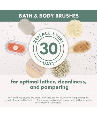 EcoTools Dry Body Brush - Enhance Your Skincare Routine & Boost Circulation - Buy Online on GoSupps.com