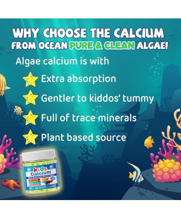 Kids Calcium Gummies + Vitamin D3 K2 Magnesium Zinc Extra Absorption Algae Calcium Supplement For Kids Gentle to Stomach Bone Teeth Muscle Brain Sugar Free Chewable Kids Vitamins 4+ 60 Counts 60 Count (Pack of 1) - Buy Online on GoSupps.com