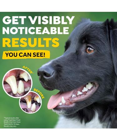 Fresh Breath by TropiClean Dental Trial Kit - Enhance Oral Care & Refreshing Breath Worldwide - Buy Online on GoSupps.com