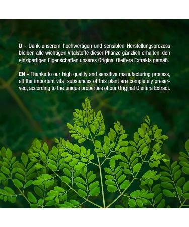 Buy Vitabay Original Moringa Oleifera - 5000 mg Capsules 120 Count - High Dose Nutrients XXL Pack Natural Supplement for Optimal Health - Buy Online on GoSupps.com