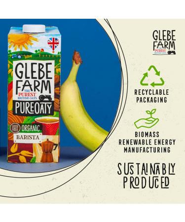 Glebe Farm PureOaty Organic Barista Oat Milk | Vegan Oat Milk | Gluten-Free Oat Milk Vegan Coffee Creamer & High Protein Plant Milk with Calcium & Vitamin B12 Non-Dairy Dairy Free Milk (1L 6-Pack) 6PK Organic Barista Oat Milk 166.67 ml (Pack of 6) - Buy Online on GoSupps.com