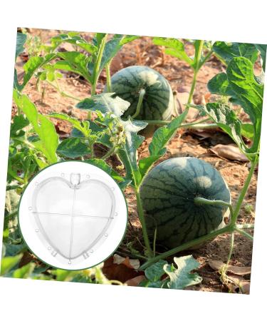 SUPVOX Heart Shaped Watermelon Molds Fruit Vegetable Mould Vegetable Forming Cucumber Shaper - Buy Online on GoSupps.com