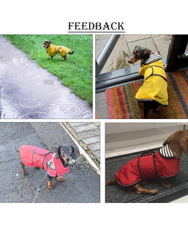 Minezis Waterproof Dog Rain Coat with Reflective Strips - Adjustable Vest for Small & Medium Dogs (Dachshund) - Yellow XL (Back Length 55-58cm) - Buy Online on GoSupps.com