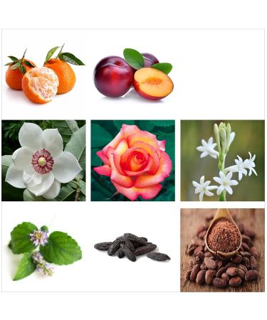 RACHEL ZOE Warrior Gift Set - Designer Women Perfume Body Spray for Women - Fruity Eau de Parfum Sprays - Ideal Perfume Gift Set for Women - 3 pc Warrior 1 Count (Pack of 1) - Buy Online on GoSupps.com