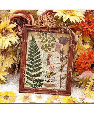 MAXLEAF Transparent Waterproof Stickers Set - 48PCS Vintage Plants Flowers Collection - Dried Flowers - Waterproof Stickers for Decoration Planners Scrapbook Laptops - Buy Online on GoSupps.com