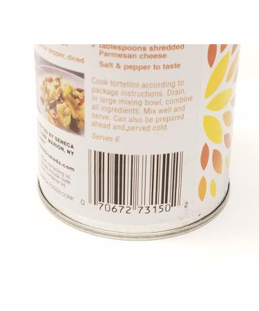 3 Bean Salad 15oz Can (Pack of 6) - Shop Now for a Delicious and Convenient Meal Option! - Buy Online on GoSupps.com