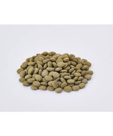 Buy JBL NovoPleco Complete Food for Small Sucker Catfish - 1L Tablets | Ideal for 1-20 cm Fish | International Shipping Available - Buy Online on GoSupps.com