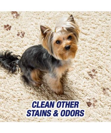 Resolve Urine Destroyer 32oz Spray, 2-Pack - Pet Stain & Odor Remover - Buy Online on GoSupps.com