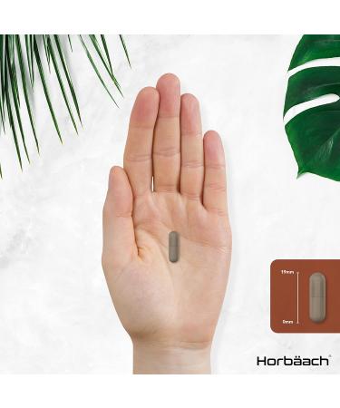 Shiitake Mushroom Extract 1000mg | 120 Capsules | Pure Mushroom Powder Supplement | Non-GMO with No Artificial Preservatives by Horbaach - Buy Online on GoSupps.com