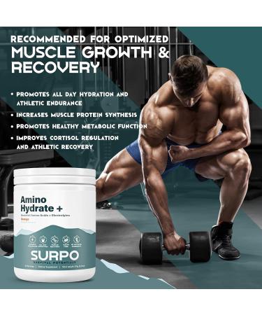 Sugar Free Electrolytes with EAA Powder | Hydrating BCAA & Essential Amino Acids for Muscle Growth | Pre & Post Workout Orange Flavor - Buy Online on GoSupps.com