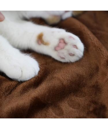 YINXUE 2 Pack Soft Pet Flannel Blanket | Cute 3D Paw Design | 30 x 40 | Warm Dog Cat Sleep Mat | Coffee - Buy Online on GoSupps.com