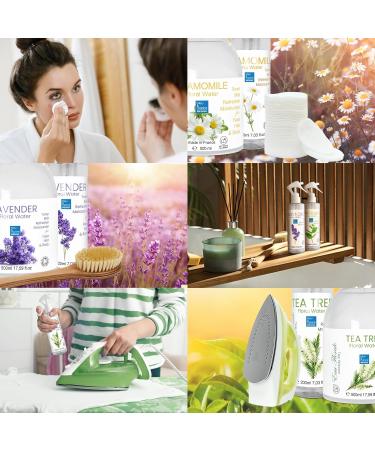 bleu & marine Bretania - Tea Tree Anti Acne Hydrolat 200 ml | Natural Skin Care | Multifunctional Use | Vitamin E Enriched | Easy to Use 200 Milliliters - Buy Online on GoSupps.com