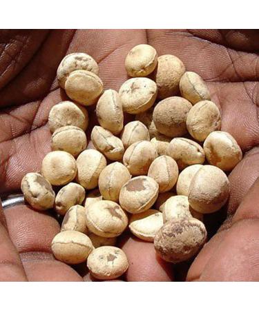 RAW HERB NIRMALI SUPARI STRYCHMOS POTATORUM (100GM) 100 g (Pack of 1) - Buy Online on GoSupps.com