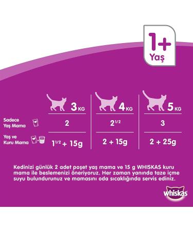 whiskas Multipack Food in the selection of Junior Cats Gelatin Meat (4 Bags x 100g) - Buy Online on GoSupps.com