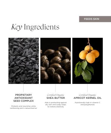 Intelligent Nutrients Seed Synergy Hydra-Lotion | Daily Vegan Moisturizer for All Skin Types | Instant Glow & Hydration | 1.7 oz - Buy Online on GoSupps.com