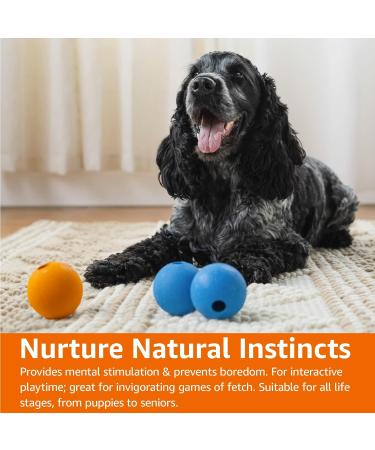Amazon Basics Rubber Fetch Toy Dog Balls 6.35 cm (3-Pack) Blue Orange Standard Balls 6.35 cm (3-Pack) - Buy Online on GoSupps.com