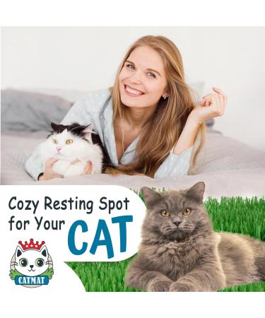 CATMAT - Cat Paper Grass Tissue Paper Cat Mat Cat Play Mat Cat Play Grass Paper Cat Grass Fake Cat Toy Grass Cat Mat Tissue Paper Grass for Cats Cat Grass for Indoor Cats - Green (Pack of 2) - Buy Online on GoSupps.com