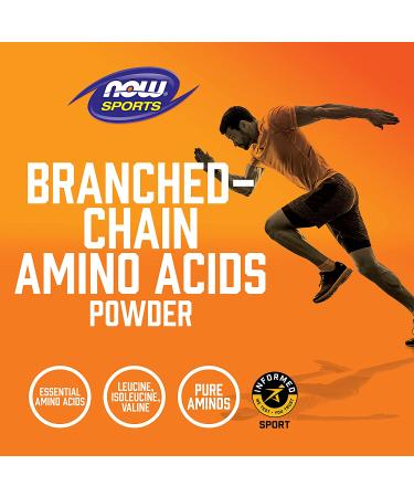 Now Foods Sports Branched-Chain Amino Acid Powder 12 oz (340 g) - Buy Online on GoSupps.com