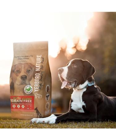 Yerbero Nature Grain Free Giant Salmon Grain Free Large Dog Food 12 kg - Buy Online on GoSupps.com