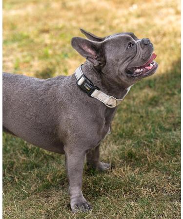 Lonto Soft Padded Dog Collar - Durable Nylon Size S 360 Reflective Click Closure Metal Ring - Beige - Buy Online on GoSupps.com