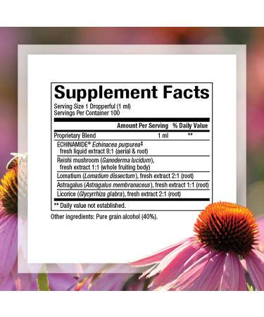 Natural Factors Anti-V Formula with Echinamide 3.4 fl oz | Immune Support Supplement - Buy Online on GoSupps.com