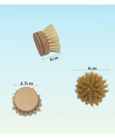 Eco-Friendly Dish Brush Replacement Heads - 5 Pieces Natural Sisal Hemp and Beech Wood Scrubbing Brushes - Buy Online on GoSupps.com