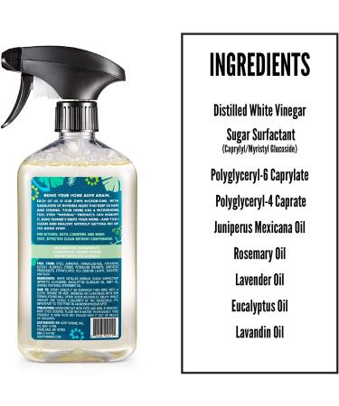 Aunt Fannieâ€™s Eucalyptus All-Purpose Cleaning Vinegar 16.9 fl oz - Natural & Eco-Friendly Cleaner - Buy Online on GoSupps.com