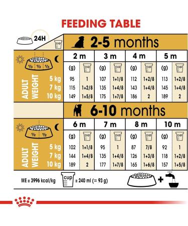 Royal Canin Puppy Food Junior Biscuits for Jack Russell Terrier Puppies Aged 2-10 Months 1.5 kg Bag - Buy Online on GoSupps.com