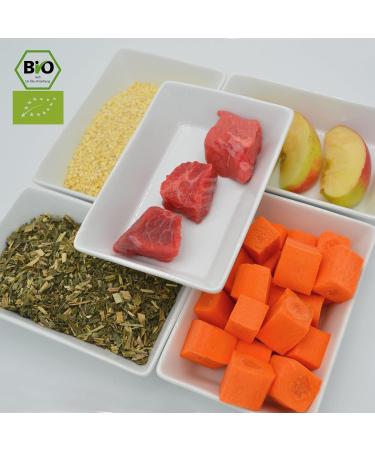 Terra-PURA Organic Dog Food 800g Premium Wet Food for Sensitive Dogs with Beef and Carrots Gluten-Free and for Allergy Sufferers - Buy Online on GoSupps.com