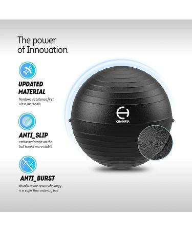 65cm Yoga Ball Chair for Pregnancy, Physical Therapy & Office - Stability Ball with Stainless Steel Pilates Bar - Black - Buy Online on GoSupps.com