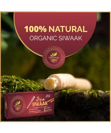 HikmaHerb Pack of 3 Miswak Sticks with Holder - Vacuum Sealed Natural Chewing Sticks for Teeth - Natural Flavored Toothbrush for Teeth Whitening Oral Health and Fresh Breath || Pack of 3  - Buy Online on GoSupps.com