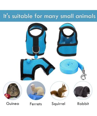 2 Pieces Guinea Pig Clothes Baby Ferret Rats Hamster Soft Mesh Harness Leash Vest Set with Bell for Guinea Pigs Hamster Ferret Rabbit Chinchilla and Similar Small Animals Small Blue Black - Buy Online on GoSupps.com