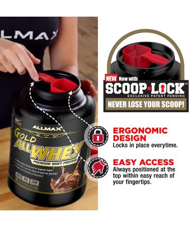 ALLMAX Nutrition AllWhey Gold 100% Whey Protein Isolate - Chocolate Peanut Butter 2 lbs - Buy Online on GoSupps.com